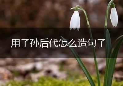 用子孙后代怎么造句子