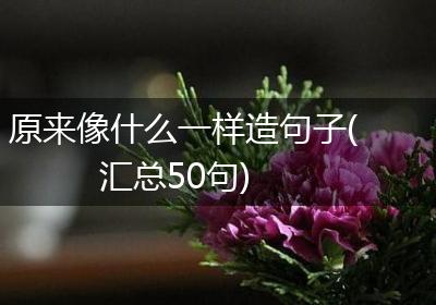 原来像什么一样造句子(汇总50句)