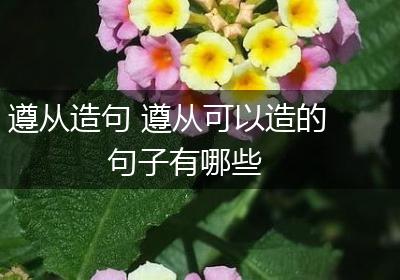 遵从造句 遵从可以造的句子有哪些