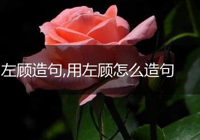 左顾造句,用左顾怎么造句