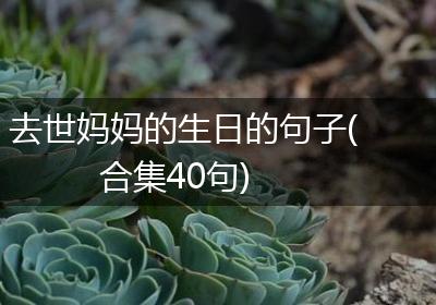 去世妈妈的生日的句子(合集40句)