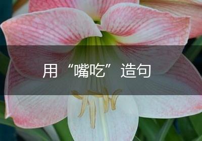 用“嘴吃”造句
