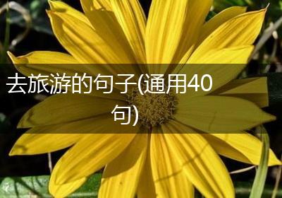 去旅游的句子(通用40句)