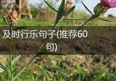 及时行乐句子(推荐60句)