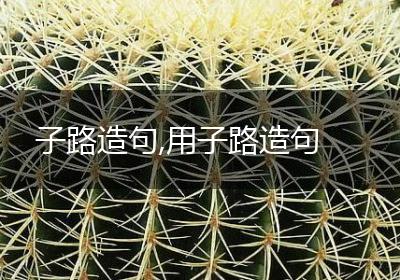子路造句,用子路造句