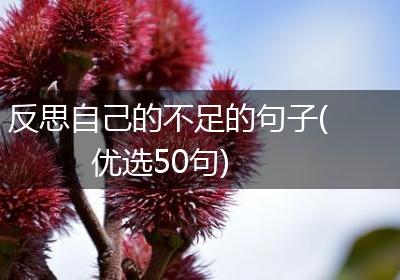 反思自己的不足的句子(优选50句)