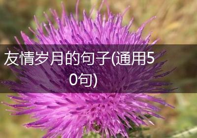 友情岁月的句子(通用50句)