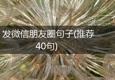 发微信朋友圈句子(推荐40句)