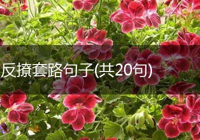 反撩套路句子(共20句)