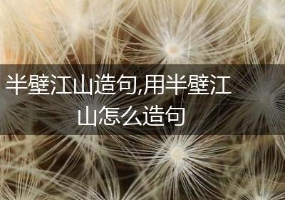 半壁江山造句,用半壁江山怎么造句