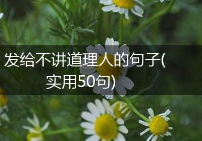 发给不讲道理人的句子(实用50句)