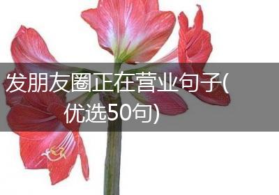 发朋友圈正在营业句子(优选50句)