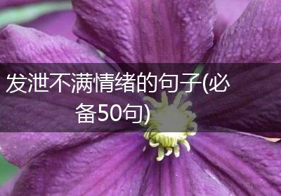 发泄不满情绪的句子(必备50句)
