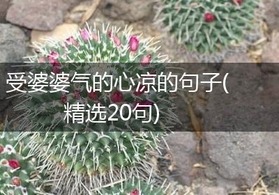 受婆婆气的心凉的句子(精选20句)