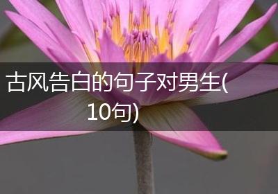 古风告白的句子对男生(10句)
