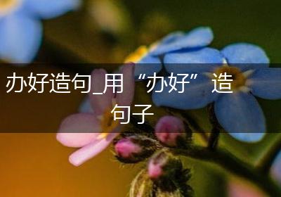 办好造句_用“办好”造句子