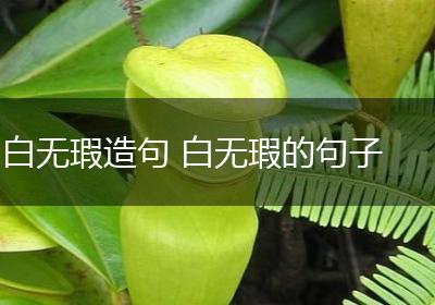 白无瑕造句 白无瑕的句子