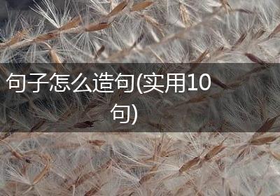 句子怎么造句(实用10句)