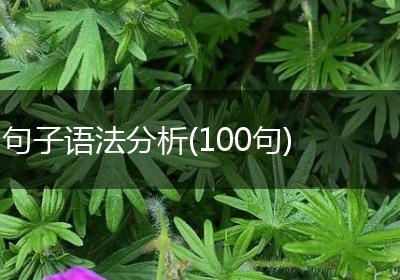 句子语法分析(100句)