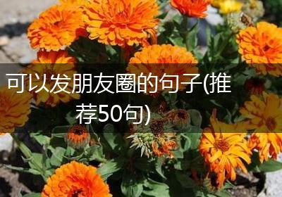 可以发朋友圈的句子(推荐50句)
