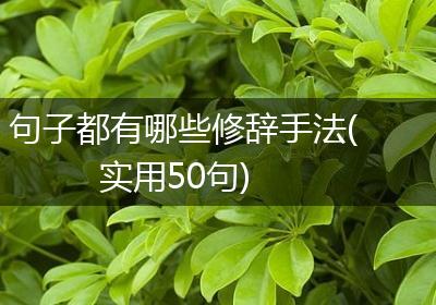 句子都有哪些修辞手法(实用50句)