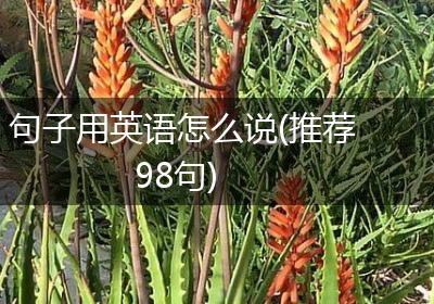句子用英语怎么说(推荐98句)