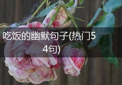 吃饭的幽默句子(热门54句)