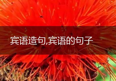 宾语造句,宾语的句子