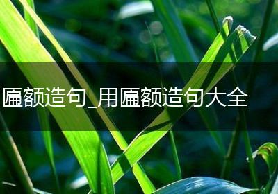 匾额造句_用匾额造句大全