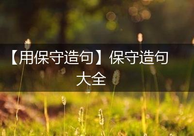 【用保守造句】保守造句大全