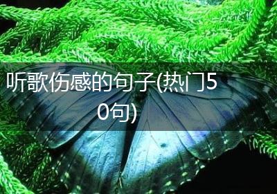 听歌伤感的句子(热门50句)
