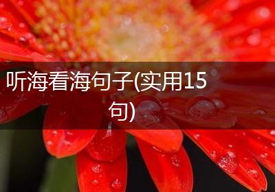 听海看海句子(实用15句)