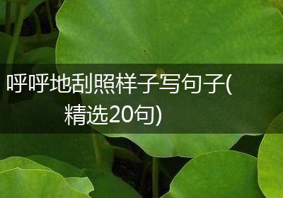 呼呼地刮照样子写句子(精选20句)