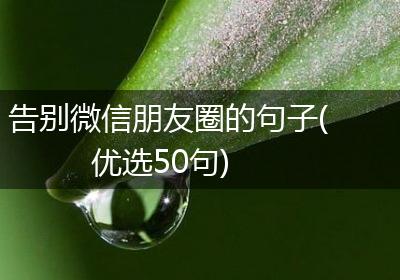 告别微信朋友圈的句子(优选50句)