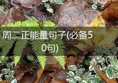 周二正能量句子(必备50句)