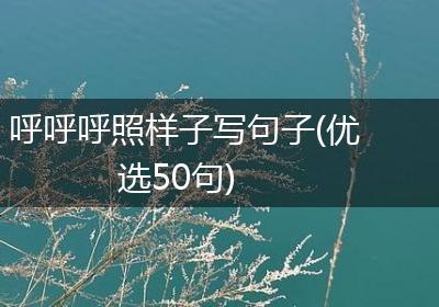 呼呼呼照样子写句子(优选50句)