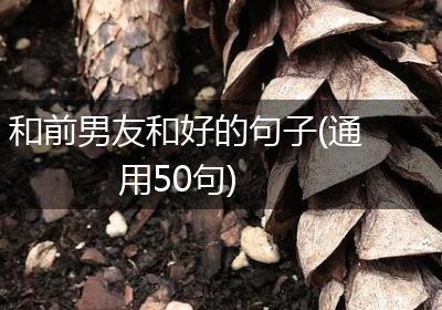 和前男友和好的句子(通用50句)