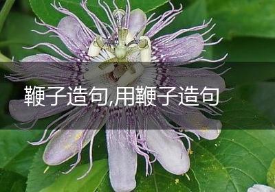 鞭子造句,用鞭子造句