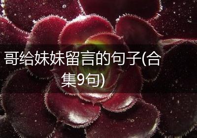 哥给妹妹留言的句子(合集9句)