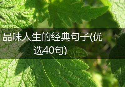 品味人生的经典句子(优选40句)