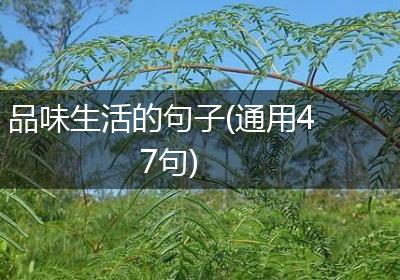 品味生活的句子(通用47句)