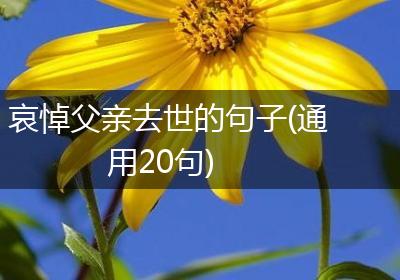 哀悼父亲去世的句子(通用20句)