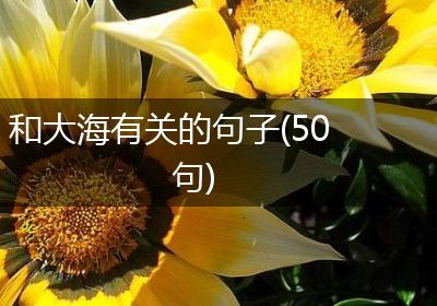和大海有关的句子(50句)