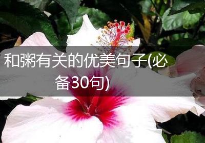 和粥有关的优美句子(必备30句)