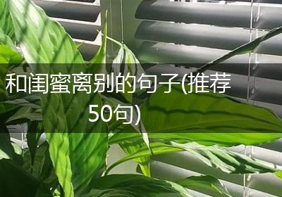 和闺蜜离别的句子(推荐50句)