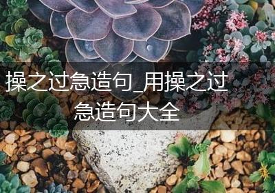 操之过急造句_用操之过急造句大全
