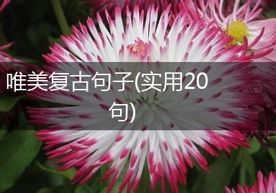 唯美复古句子(实用20句)