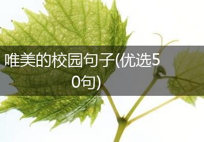 唯美的校园句子(优选50句)