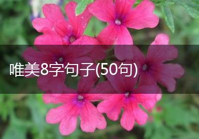 唯美8字句子(50句)
