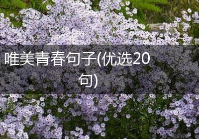 唯美青春句子(优选20句)